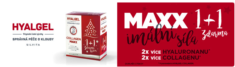 GigaLekáreň.sk - Hyalgel Collagen MAXX vánoční balení 2x500 ml