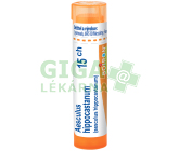 Aesculus Hippocastanum 15CH gra.4g