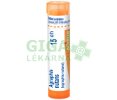 Agraphis Nutans 15CH gra.4g