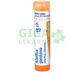 Ailanthus Glandulosa 15CH gra.4g