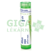 Allium Cepa CH5 gra.4g