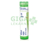 Allium Cepa CH5 gra.4g