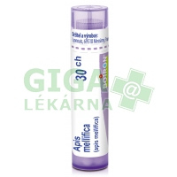 Apis Mellifica CH30 gra.4g
