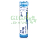 Apis Mellifica CH9 gra.4g