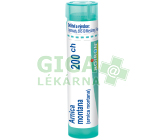 Arnica Montana CH200 gra.4g