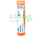 Bellis Perennis 15CH gra.4g