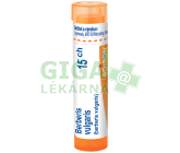 Berberis Vulgaris 15CH gra.4g