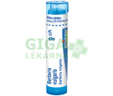 Berberis Vulgaris 9CH gra.4g