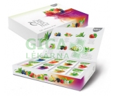 Biogena Fantastic Tea Maxi (8x8 nálev.sáčků)