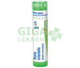 Blatta Orientalis 5CH gra.4g