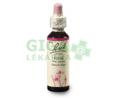 Borovice lesní (Pine) 20ml - Bachovy esence 24