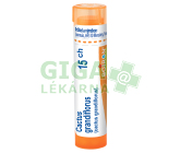 Cactus Grandiflorus 15CH gra.4g