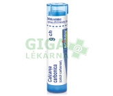 Calcarea Carbonica CH9 gra.4g