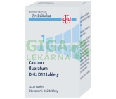 Calcium fluoratum DHU 1000 tbl.D12 (No.1)