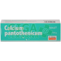 Calcium pantothenicum mast 100g