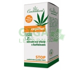 Cannaderm Capillus sérum na vlasy s kofeinem 40ml