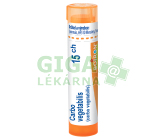 Carbo Vegetabilis 15CH gra.4g