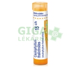 Caulophyllum Thalictroides CH15 gra.4g