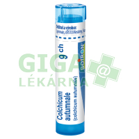 Colchicum Autumnale 9CH gra.4g