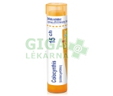 Colocynthis CH15 gra.4g