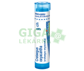 Crataegus Oxyacantha 9CH gra.4g