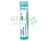 Cuprum Metallicum 200CH gra.4g