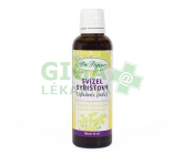 Dr.Popov Kapky bylin.Svizel syrist. 50ml