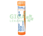 Equisetum Hiemale 15CH gra.4g