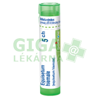 Zimná praslička 5CH gra.4g