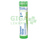 Equisetum Hiemale 5CH gra.4g