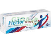 Flector EP Gel drm.gel 1x100g