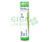 Hekla Lava CH5 gra.4g