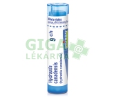 Hydrastis Canadensis CH9 gra.4g