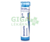 Ipecacuanha CH9 gra.4g