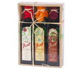 Kitlova apatyka 3x500ml