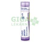 Ledum Palustre CH30 gra.4g