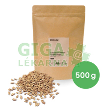 Lifefood Semienka slnečnicové RAW 500g BIO