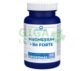 LIPOZOMAL MAGNESIUM + B6 FORTE tob.60