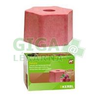 Liz pre kone DELIZIA náplň malina 650g