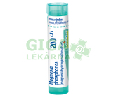 Magnesia Phosphorica 200CH gra.4g