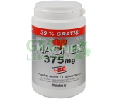 Magnex 375 mg +B6 tbl.250