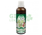 Naděje P66 tin. z pupenů Hloh 50ml