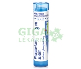 Phosphoricum Acidum CH9 gra.4g