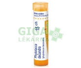 Phytolacca Decandra CH15 gra.4g