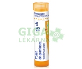 Pollen De Graminees CH15 por.gra.4g