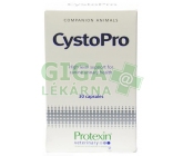 Protexin CystoPro pro psy 30tbl