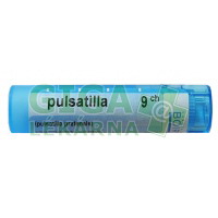 Fotka Pulsatilla CH9 gra.4g Obrázek Pulsatilla CH9 gra.4g