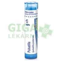Pulsatilla CH9 gra.4g