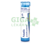 Pulsatilla CH9 gra.4g
