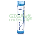 Pyrogenium CH9 gra.4g
